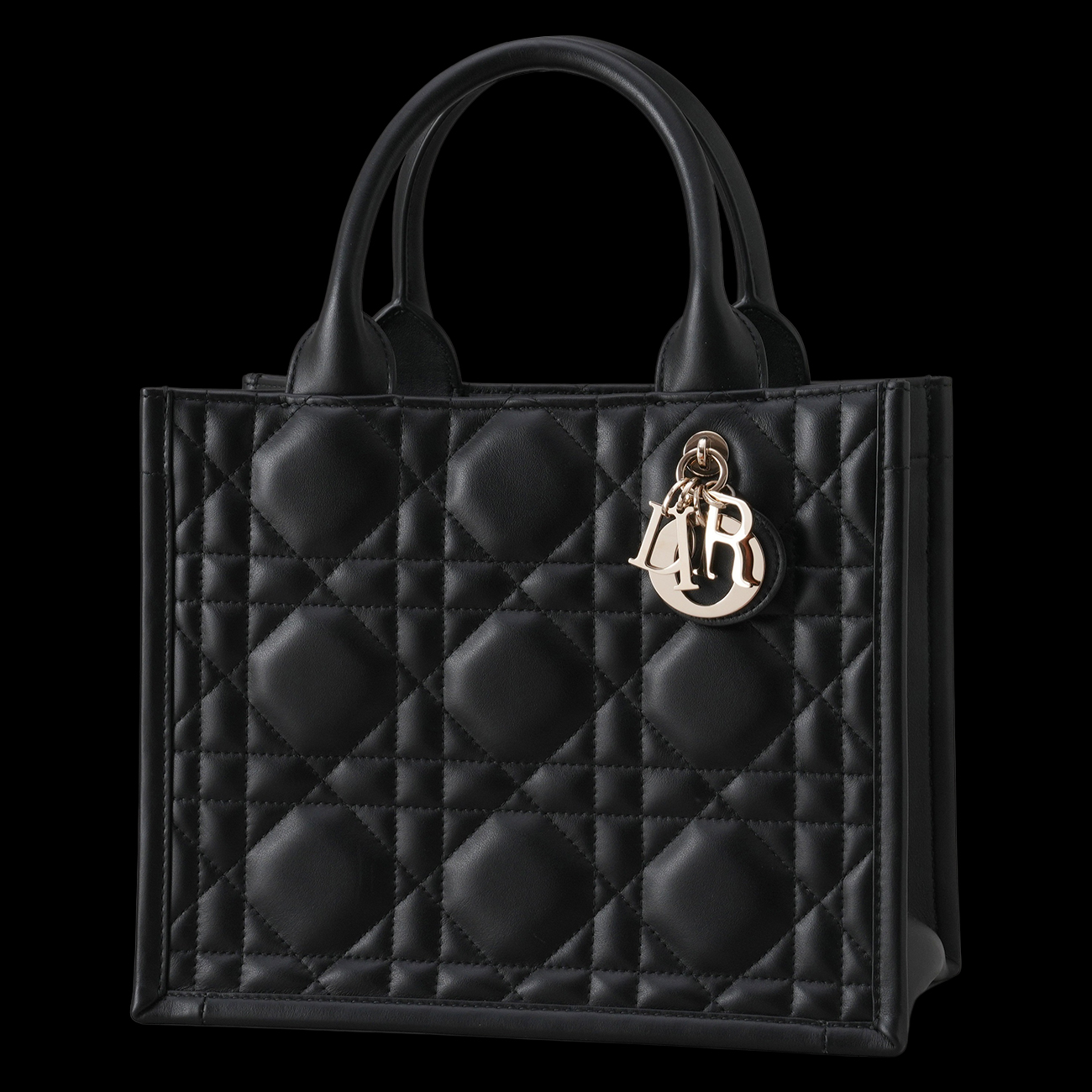 CHRISTIAN DIOR(USED)디올 북토트 스몰 매크로 까나쥬